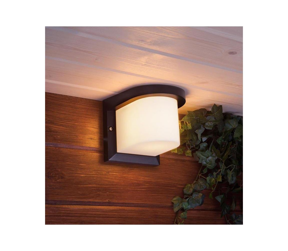 Kültéri fali lámpa PETUNIA 1xE27/60W/230V IP44 antracit SKU009148